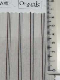 SBT-019 Organic Natural Wrinkle Washed Stripes[Textile / Fabric] Kuwamura Textile Sub Photo