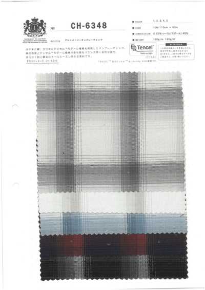 CH-6348 Asymmetry Ombre Check