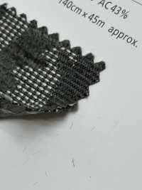 RYDEEN Raideen[Textile / Fabric] Shinko Sub Photo