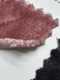 THECHINCHIRA The Chinchilla[Textile / Fabric] Shinko Sub Photo