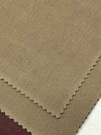 TY24324 High Count Cord Hard Finish/brushed Back[Textile / Fabric] HOKKOH Sub Photo