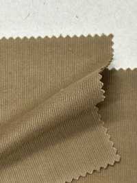 TY24324 High Count Cord Hard Finish/brushed Back[Textile / Fabric] HOKKOH Sub Photo