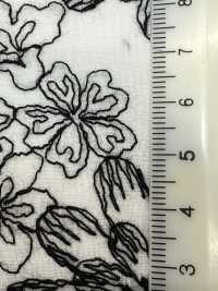 KCL525-DP-312 Cotton 60 Lawn Lace[Textile / Fabric] Uni Textile(Komon Studio) Sub Photo