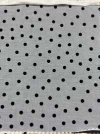 HP-5087-1 50d Jersey[Textile / Fabric] HOKKOH Sub Photo