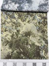 7026-410-2 Sheer Mesh Sunlight Filtering Through The Trees[Textile / Fabric] HOKKOH Sub Photo