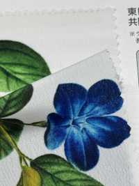 KDP1401-58-D-783 Feminine Wide Width Dechin[Textile / Fabric] Uni Textile(Komon Studio) Sub Photo