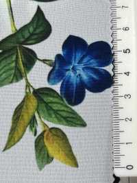 KDP1401-58-D-783 Feminine Wide Width Dechin[Textile / Fabric] Uni Textile(Komon Studio) Sub Photo