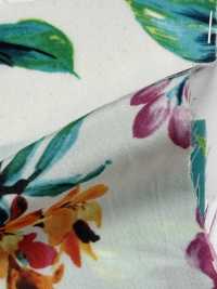 KKP6635-58D-DBK201 New Venus Split Dechin Multicolor IJ Print[Textile / Fabric] Uni Textile(Komon Studio) Sub Photo