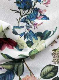 KDP2312SD-58-DD-233 Feminine Dechin Wide Width Inkjet Print[Textile / Fabric] Uni Textile(Komon Studio) Sub Photo