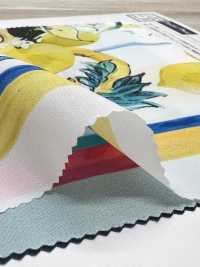 KDP2312SD-58-DD-241 Feminine Dechin Wide Width Inkjet Print[Textile / Fabric] Uni Textile(Komon Studio) Sub Photo