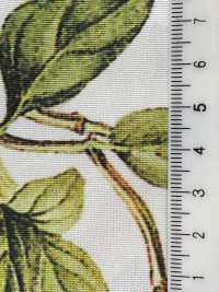 KDP7711-58-DD899 Light Grosgrain Wide Width Inkjet Print[Textile / Fabric] Uni Textile(Komon Studio) Sub Photo