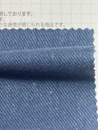 SBW7040 Linen /linen 10/1 Drill Vintage Finish[Textile / Fabric] SHIBAYA Sub Photo