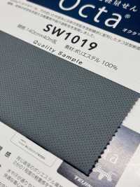 SW1019 Octa Pin Mesh[Textile / Fabric] Sanwa Fibers Sub Photo