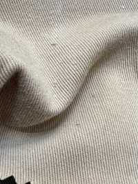 HK2010GW Cotton Chino, Pigment Dyed + OW[Textile / Fabric] KOYAMA Sub Photo