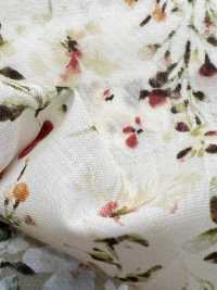 28113 60 Thread Lawn Watercolor Floral Print[Textile / Fabric] SUNWELL Sub Photo