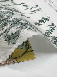 28104 60 Thread Lawn Botanical Floral Print[Textile / Fabric] SUNWELL Sub Photo