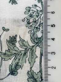 28104 60 Thread Lawn Botanical Floral Print[Textile / Fabric] SUNWELL Sub Photo