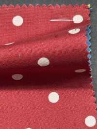 5024-333-1 Slendot Broadcloth[Textile / Fabric] HOKKOH Sub Photo