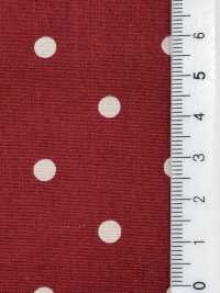 5024-333-1 Slendot Broadcloth[Textile / Fabric] HOKKOH Sub Photo