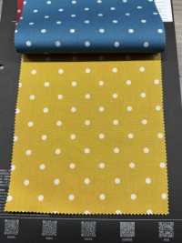 5024-333-1 Slendot Broadcloth[Textile / Fabric] HOKKOH Sub Photo