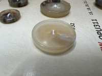 OPU312 Water Buffalo Horn 4-hole Resin Buttons DAIYA BUTTON(DAIYA BUTTON) Sub Photo