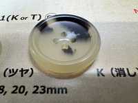 LSB1 Milky Horn 4-hole Resin Button DAIYA BUTTON(DAIYA BUTTON) Sub Photo