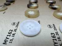 MY162 Water Buffalo Horn 4-hole Resin Buttons DAIYA BUTTON(DAIYA BUTTON) Sub Photo