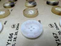 MY166 Water Buffalo Horn 4-hole Resin Buttons DAIYA BUTTON(DAIYA BUTTON) Sub Photo