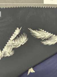 5025-300-1 Phila Phila[Textile / Fabric] HOKKOH Sub Photo