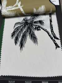 5025-300-1 Phila Phila[Textile / Fabric] HOKKOH Sub Photo