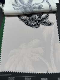 5025-300-1 Phila Phila[Textile / Fabric] HOKKOH Sub Photo