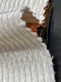 5-CRCOR-M Cotton Corduroy No Pattern Plain Jersey[Textile / Fabric] HOKKOH Sub Photo