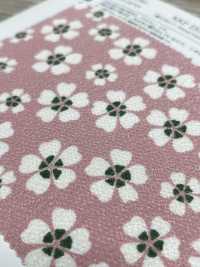 KKP2338-D-KOZAKURA Futako Chirimen Small Cherry Blossom[Textile / Fabric] Uni Textile(Komon Studio) Sub Photo