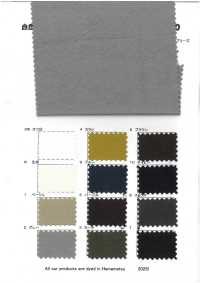 RN7070 Cotton Washi Canvas Grand Canyon Natural Breeze[Textile / Fabric] KOYAMA Sub Photo