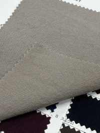 RN7070 Cotton Washi Canvas Grand Canyon Natural Breeze[Textile / Fabric] KOYAMA Sub Photo