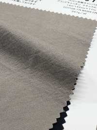 RN7070 Cotton Washi Canvas Grand Canyon Natural Breeze[Textile / Fabric] KOYAMA Sub Photo