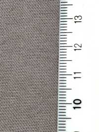 RN7070 Cotton Washi Canvas Grand Canyon Natural Breeze[Textile / Fabric] KOYAMA Sub Photo