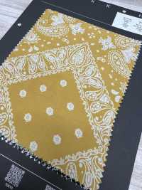 5022-388-1 Ryet Discharge Print[Textile / Fabric] HOKKOH Sub Photo