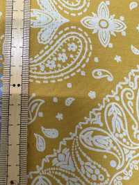 5022-388-1 Ryet Discharge Print[Textile / Fabric] HOKKOH Sub Photo