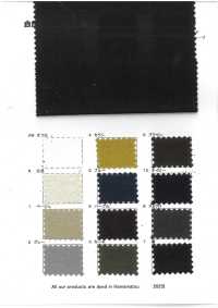 RN7071 Cotton Hemp Oxford Grand Canyon Wild Wave[Textile / Fabric] KOYAMA Sub Photo