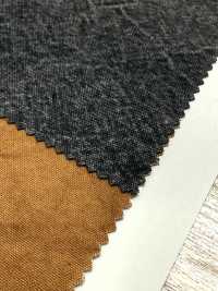 SK-1600 No. 10 Canvas[Textile / Fabric] KOYAMA Sub Photo