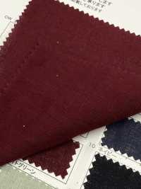 RN5061 Lawn Platt Air In Of Linen And Washi Paper[Textile / Fabric] KOYAMA Sub Photo