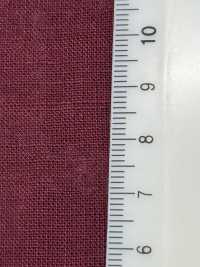 RN5061 Lawn Platt Air In Of Linen And Washi Paper[Textile / Fabric] KOYAMA Sub Photo