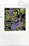 850586 Lawn Flower Gold Japanese Pattern Wisteria Flowing Water