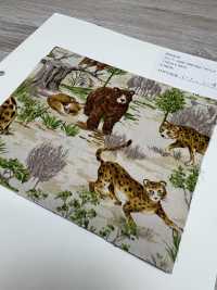 850569 Broadcloth Junk Vintage Savannah[Textile / Fabric] VANCET Sub Photo