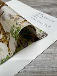 850569 Broadcloth Junk Vintage Savannah[Textile / Fabric] VANCET Sub Photo