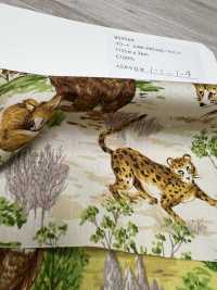 850569 Broadcloth Junk Vintage Savannah[Textile / Fabric] VANCET Sub Photo