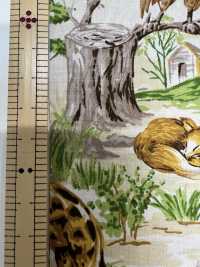 850569 Broadcloth Junk Vintage Savannah[Textile / Fabric] VANCET Sub Photo