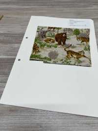 850569 Broadcloth Junk Vintage Savannah[Textile / Fabric] VANCET Sub Photo