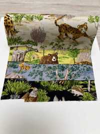 850569 Broadcloth Junk Vintage Savannah[Textile / Fabric] VANCET Sub Photo